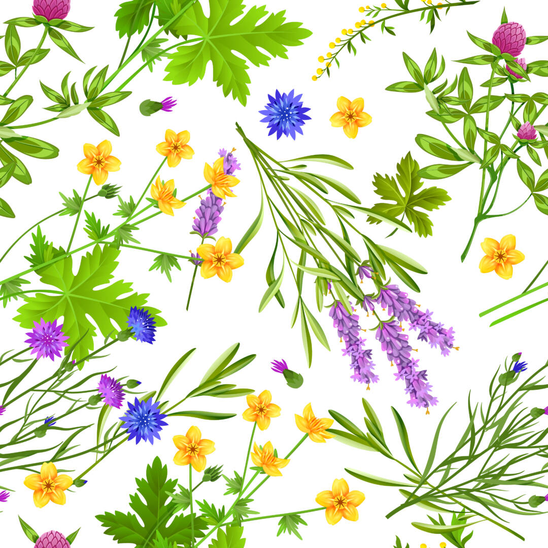 Herbs And Wild Flowers Seamless Pattern